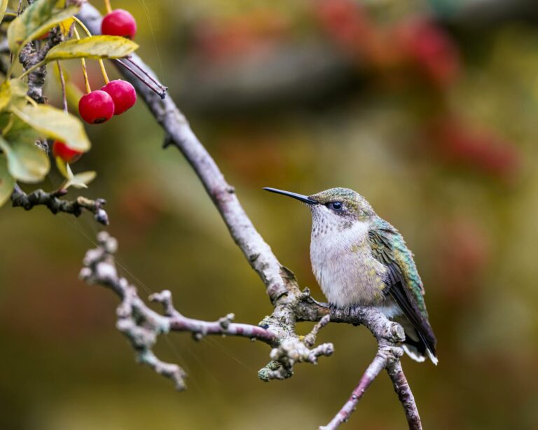 Never Run Out of Ideas: Top Tips for Generating Fresh Blog Topics